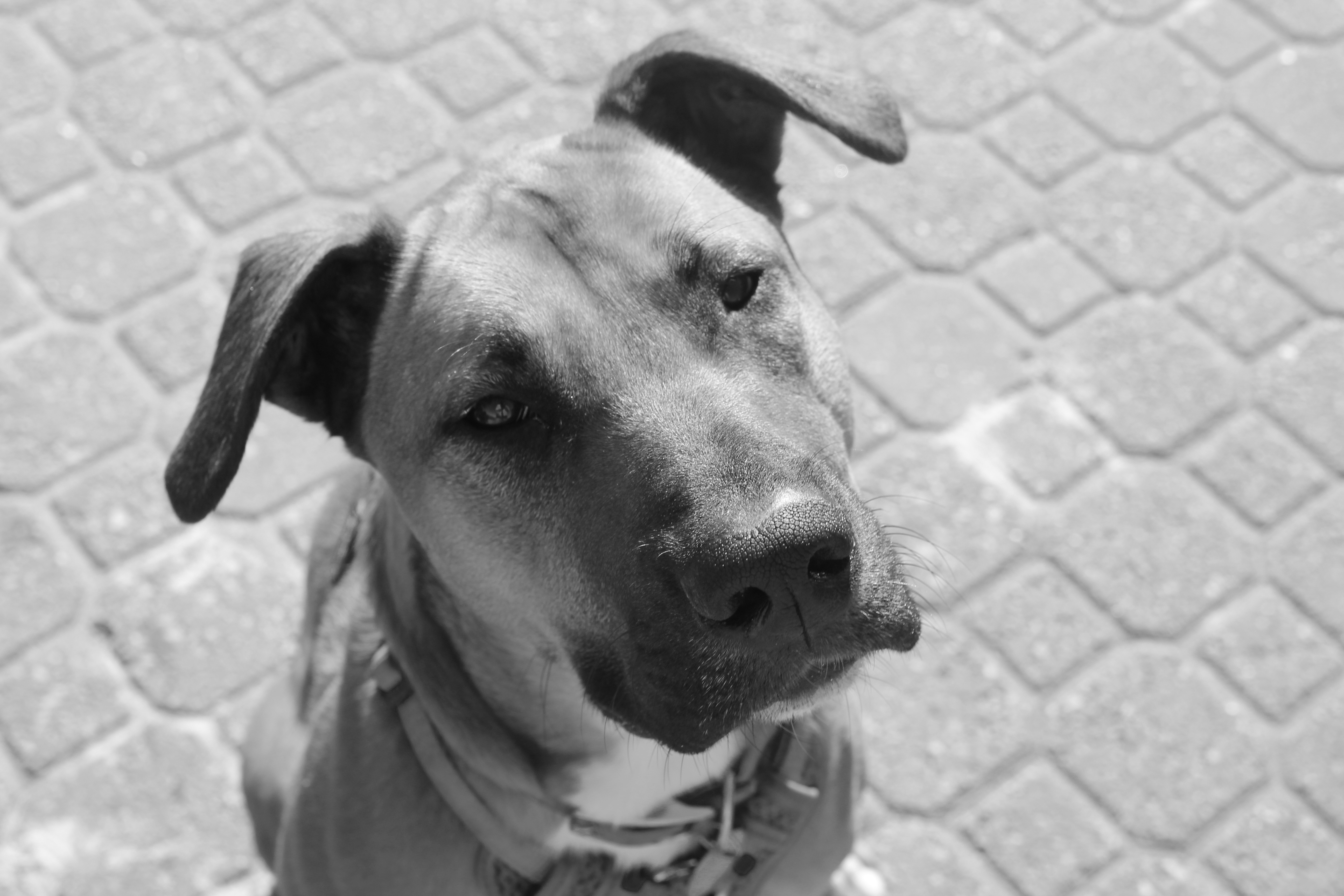 A Controversial Perspective on&nbsp;Injury