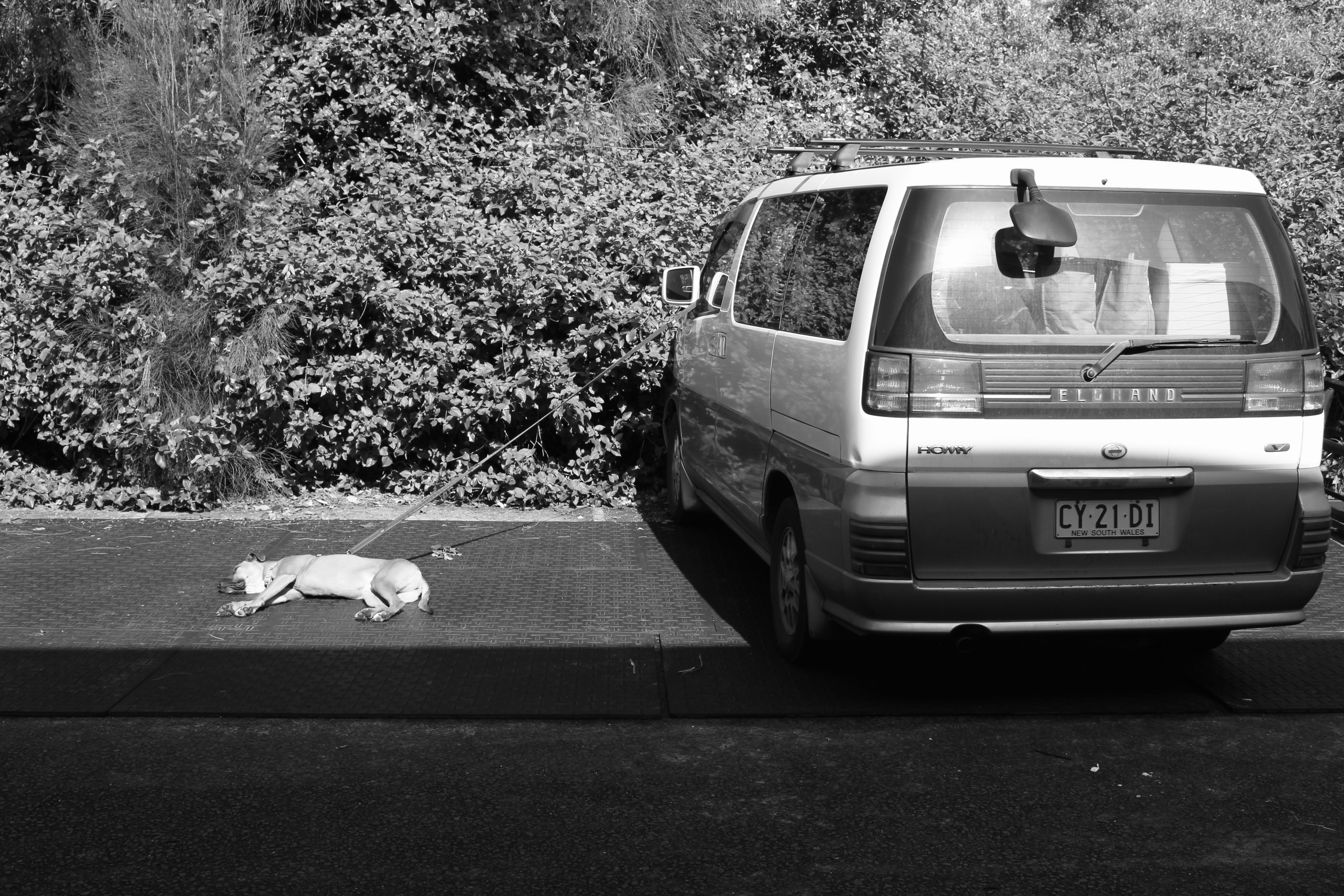 Prologue: The Return