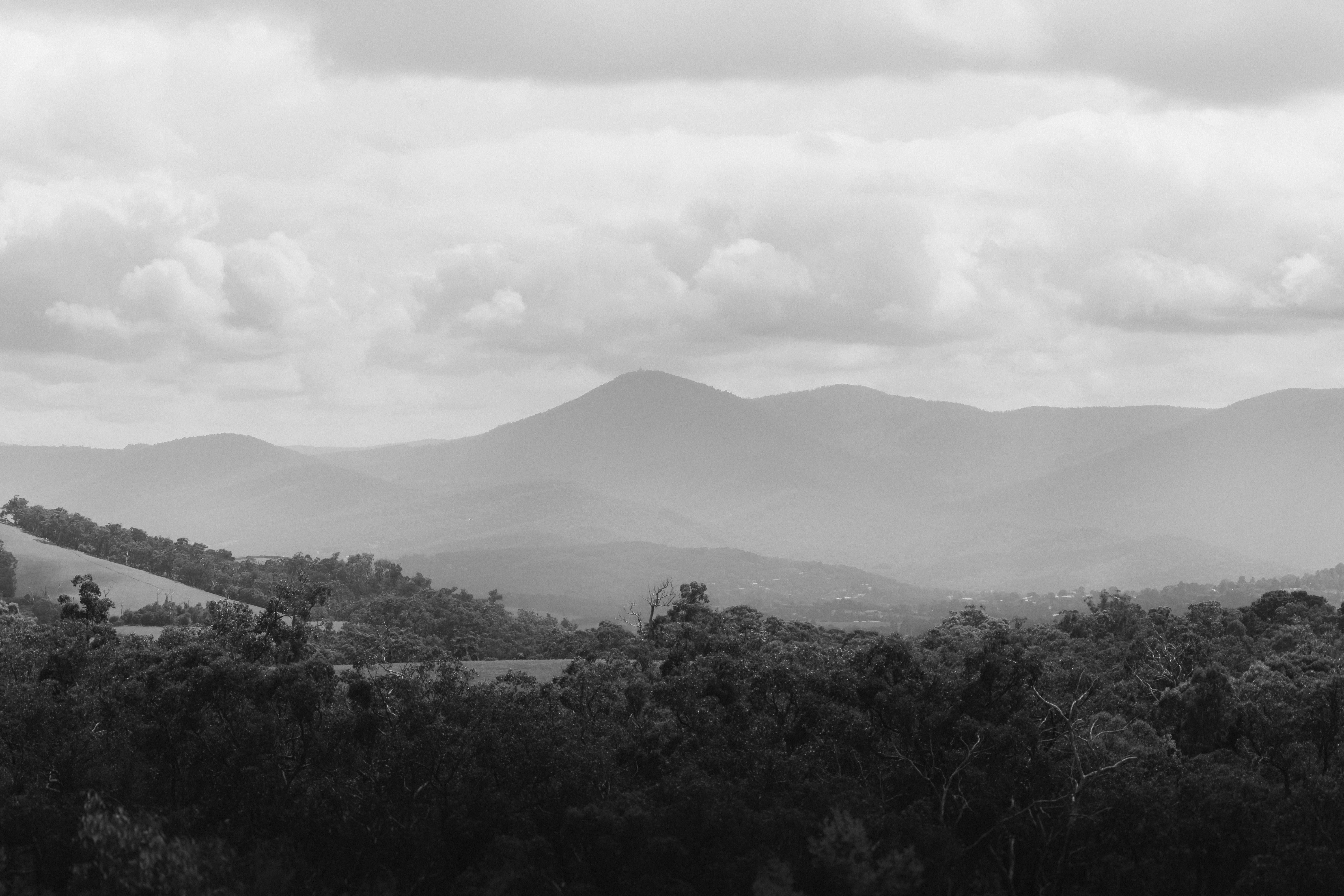 Apprenticeship Application