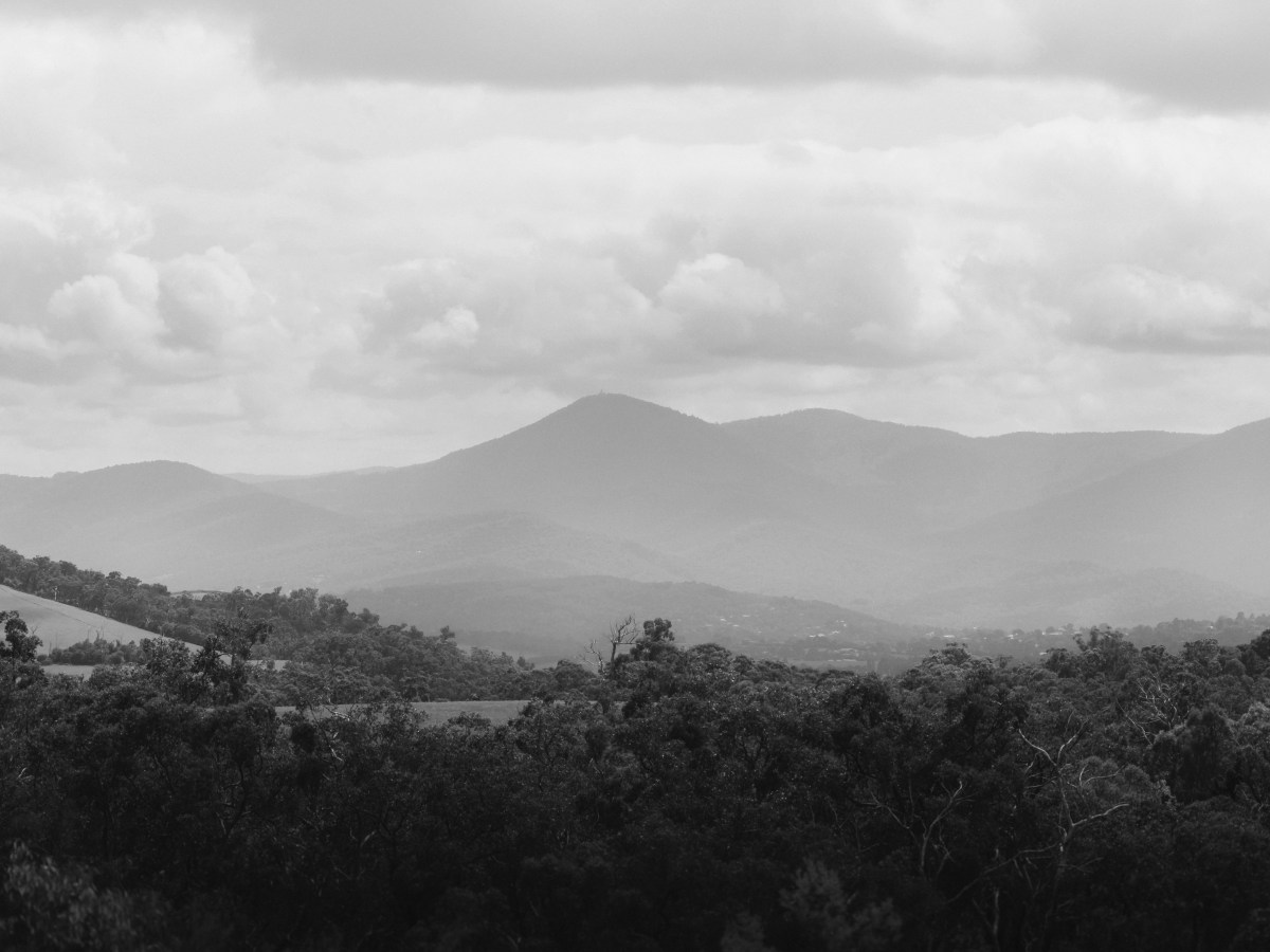 Apprenticeship Application