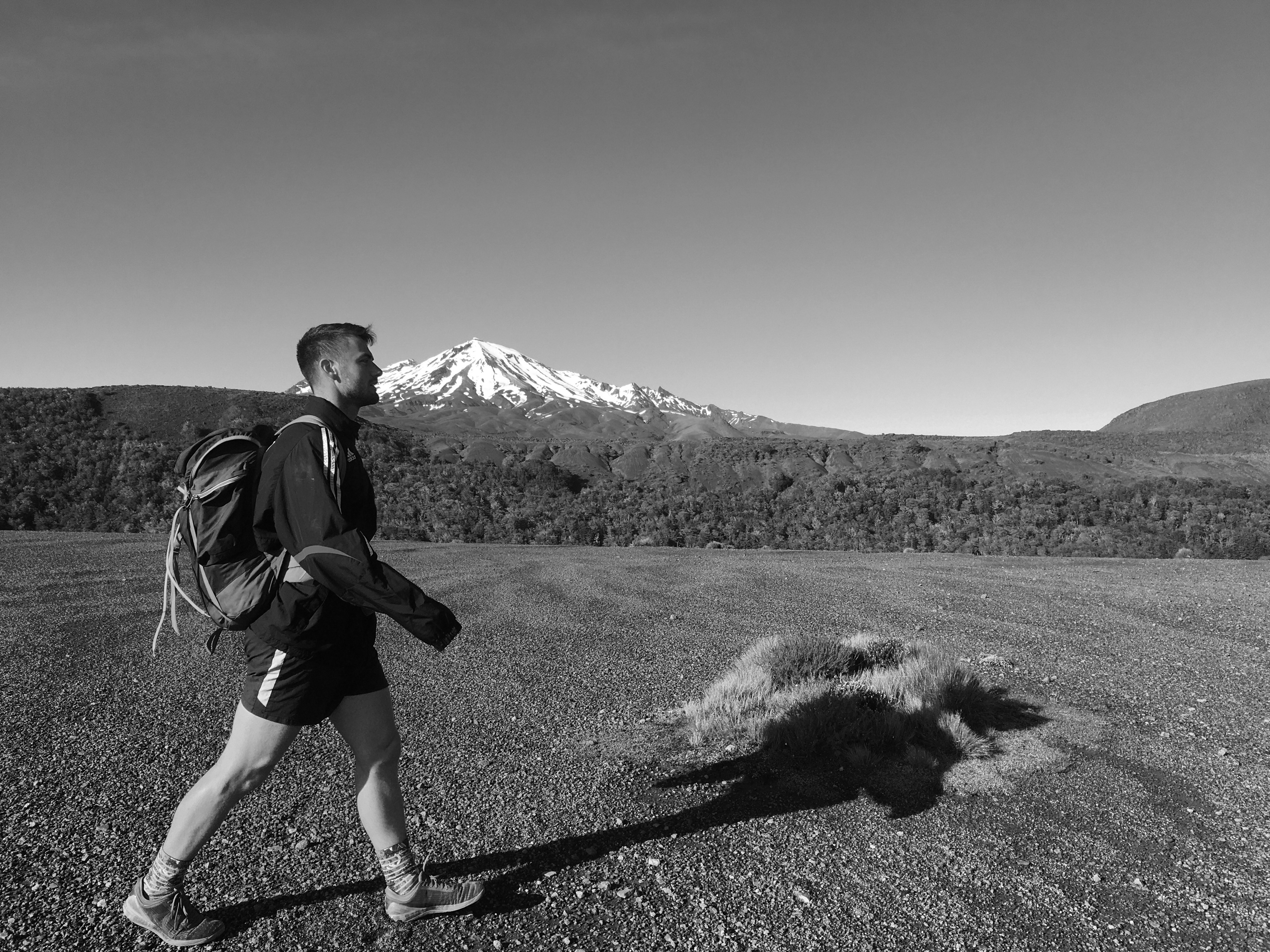 A Better Perspective on Health and&nbsp;Longevity